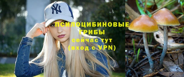 СК Красноперекопск