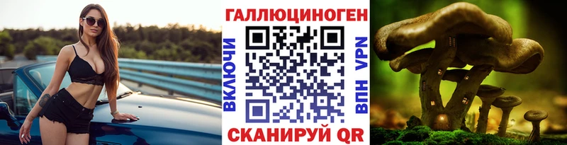 даркнет состав Шимановск Галлюциногенные грибы мухоморы