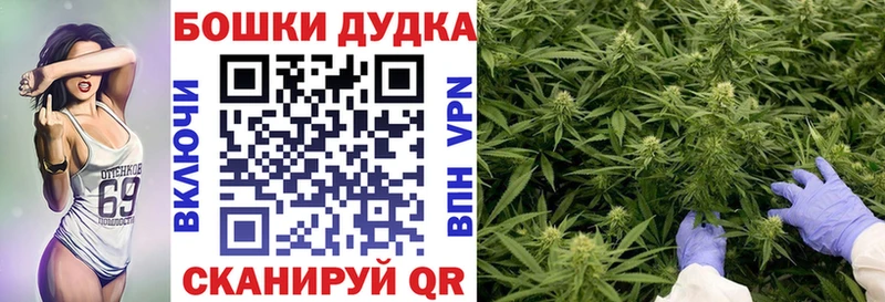 наркота  дарк нет формула  Шишки марихуана MAZAR  Шимановск 